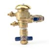 Deecaray 765 Brass Retainer Clip Inline Strainer Duty Brass Yellow-2